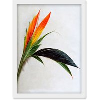 Artery8 Tropical Plant Bird of Paradise Flower Botanical Bloom Artwork Framed Wall Art Print A4 in White