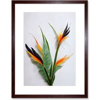 Artery8 Wall Art Print Bird of Paradise Stem Leaves & Flowers Tropical Plant Botanical Artwork Framed 9X7 Inch in Brown | Size: W7" x H9"