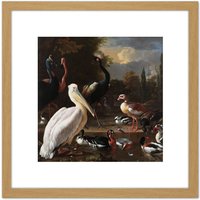 Artery8 Hondecoeter Pelican Birds Pool Floating Feather 8X8 Inch Square Wooden Framed Wall Art Print Picture with Mount in Light Oak