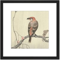 Artery8 Ohara Koson Crossbill On Tree Branch Japan 8X8 Inch Square Wooden Framed Wall Art Print Picture with Mount in Black