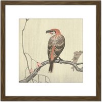 Artery8 Ohara Koson Crossbill On Tree Branch Japan 8X8 Inch Square Wooden Framed Wall Art Print Picture with Mount in Brown