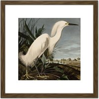 Artery8 Audubon Birds Snowy Heron Painting 8X8 Inch Square Wooden Framed Wall Art Print Picture with Mount in Brown
