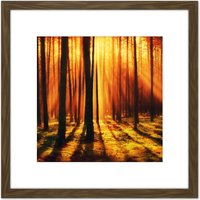 Artery8 Forest Sunset Nature Photograph 8X8 Inch Square Wooden Framed Wall Art Print Picture with Mount in Brown