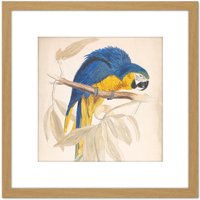 Artery8 Blue & Yellow Macaw 8X8 Inch Square Wooden Framed Wall Art Print Picture with Mount in Light Oak