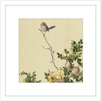 Artery8 Castiglione Canary Rose Bird Painting 8X8 Inch Square Wooden Framed Wall Art Print Picture with Mount in White