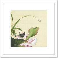 Artery8 Castiglione Lotus Flower Butterfly Painting 8X8 Inch Square Wooden Framed Wall Art Print Picture with Mount in White