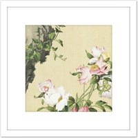 Artery8 Castiglione Paeonia Flower Plant Painting 8X8 Inch Square Wooden Framed Wall Art Print Picture with Mount in White