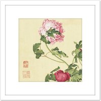Artery8 Castiglione Peonies Flower Plant Painting 8X8 Inch Square Wooden Framed Wall Art Print Picture with Mount in White