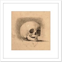 Artery8 Landseer Human Skull Anatomy Front View Drawing 8X8 Inch Square Wooden Framed Wall Art Print Picture with Mount in White