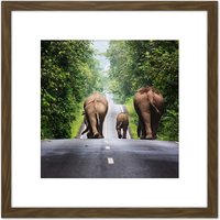 Artery8 Khunkay Wild Elephants Road Forest Thailand Photo 8X8 Inch Square Wooden Framed Wall Art Print Picture with Mount in Brown