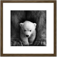 Artery8 Bear Cub Black White Animal Photo 8X8 Inch Square Wooden Framed Wall Art Print Picture with Mount in Brown