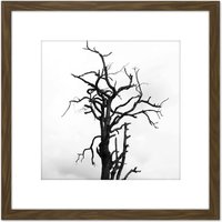 Artery8 Lone Dead Tree Silhouette Black White 8X8 Inch Square Wooden Framed Wall Art Print Picture with Mount in Brown