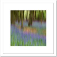 Artery8 Colin Bluebells Beech Trees Impressionist 8X8 Inch Square Wooden Framed Wall Art Print Picture with Mount in White