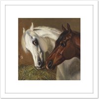 Artery8 Volkers Two Horse Heads Painting 8X8 Inch Square Wooden Framed Wall Art Print Picture with Mount in White