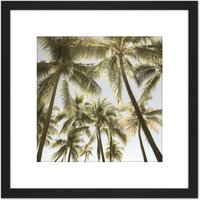 Artery8 Perrington Tropical Palm Trees Photo 8X8 Inch Square Wooden Framed Wall Art Print Picture with Mount in Black
