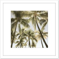 Artery8 Perrington Tropical Palm Trees Photo 8X8 Inch Square Wooden Framed Wall Art Print Picture with Mount in White