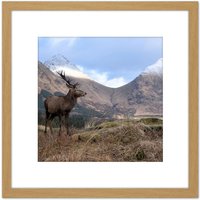 Artery8 Andrewmckie Red Deer Stag Glen Etive Scotland Photo 8X8 Inch Square Wooden Framed Wall Art Print Picture with Mount in Light Oak