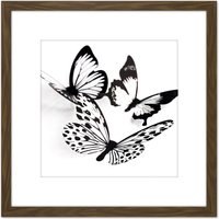 Artery8 Three Black White Butterflies Group Collage Photo 8X8 Inch Square Wooden Framed Wall Art Print Picture with Mount in Brown