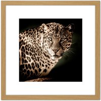 Artery8 Leopard Big Cat Spots Photo 8X8 Inch Square Wooden Framed Wall Art Print Picture with Mount in Light Oak