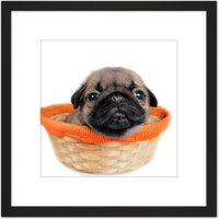 Artery8 Puppy Dog Basket Cute Photo 8X8 Inch Square Wooden Framed Wall Art Print Picture with Mount in Black