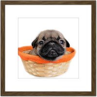 Artery8 Puppy Dog Basket Cute Photo 8X8 Inch Square Wooden Framed Wall Art Print Picture with Mount in Brown
