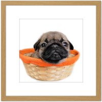 Artery8 Puppy Dog Basket Cute Photo 8X8 Inch Square Wooden Framed Wall Art Print Picture with Mount in Light Oak