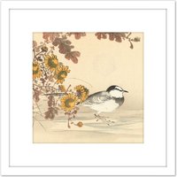 Artery8 Kono Bairei Wagtail Bird Flowers Japan Woodblock 8X8 Inch Square Wooden Framed Wall Art Print Picture with Mount in White