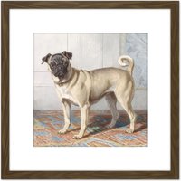 Artery8 Cunaeus Portrait Edwin Vom Rath's Pug Dog Painting 8X8 Inch Square Wooden Framed Wall Art Print Picture with Mount in Brown