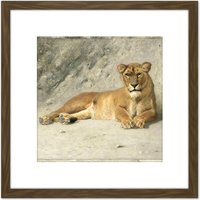 Artery8 Van Essen Lioness Resting Big Cat Painting 8X8 Inch Square Wooden Framed Wall Art Print Picture with Mount in Brown