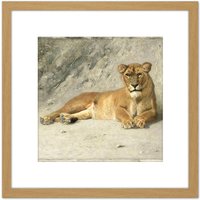 Artery8 Van Essen Lioness Resting Big Cat Painting 8X8 Inch Square Wooden Framed Wall Art Print Picture with Mount in Light Oak
