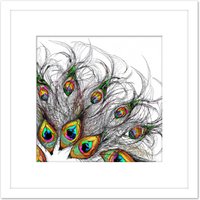 Artery8 Abstract Line Art Peacock Feather Pen Ink Drawing Square Wooden Framed Wall Art Print Picture 8X8 Inch in White