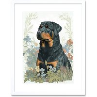 Artery8 Wall Art Print Rottweiler Dog Sitting in Flower Field Modern Watercolour Artwork Framed 9X7 Inch in White | Size: W7" x H9"