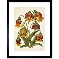 Artery8 Wall Art Print Ernst Haeckel Inspired Fritillaria Flower Plant Study Modern Watercolour Painting Artwork Framed 9X7 Inch | Size: W7" x H9"