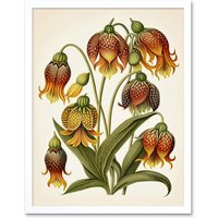 Artery8 Wall Art Print Ernst Haeckel Inspired Fritillaria Flower Plant Study Modern Watercolour Painting Art Framed in White | Size: W12" x H16"
