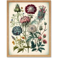 Artery8 Ernst Haeckel Style Botanical Plant Watercolour Framed Wall Art Print in Light Oak | Size: W12" x H16"