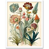 Artery8 Wall Art Print Ernst Haeckel Inspired Vintage Botanical Plant Study Modern Watercolour Painting Art Framed in White | Size: W12" x H16"