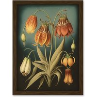 Artery8 Fritillaria Flower Plant Ernst Haeckel Inspired Plant Study Modern Watercolour Painting Illustration Artwork Framed Wall Art Print A4 in Brown