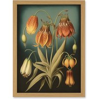 Artery8 Fritillaria Flower Plant Ernst Haeckel Inspired Plant Study Modern Watercolour Painting Illustration Artwork Framed Wall Art Print A4