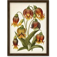 Artery8 Ernst Haeckel Inspired Fritillaria Flower Plant Study Modern Watercolour Painting Illustration Artwork Framed Wall Art Print A4 in Brown