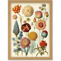 Artery8 Vintage Botanical Illustration Ernst Haeckel Style Plant Study Modern Watercolour Painting Artwork Framed Wall Art Print A4 in Light Oak