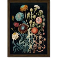 Artery8 Vintage Botanical Ernst Haeckel Style Plant Study Modern Watercolour Painting Illustration Artwork Framed Wall Art Print A4 in Brown