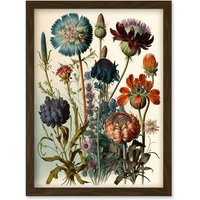 Artery8 Vintage Botanical Illustration Ernst Haeckel Inspired Plant Study Modern Watercolour Painting Artwork Framed Wall Art Print A4 in Brown