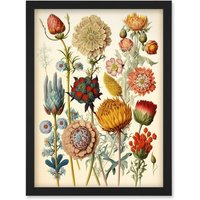 Artery8 Vintage Botanical Ernst Haeckel Inspired Plant Study Modern Watercolour Painting Illustration Artwork Framed Wall Art Print A4 in Black