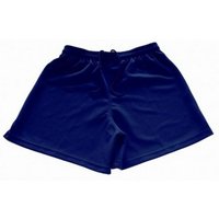 Omega Men's Shorts in Navy | Size: 32R
