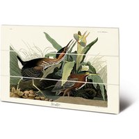 John James Audubon Green Heron Wood Print in Bright Green