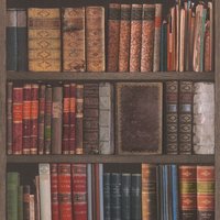 Rasch Books Textured Wallpaper in Brown