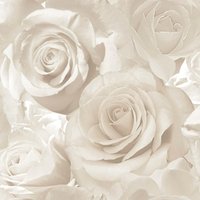 Muriva Madison Rose Glitter Wallpaper in Cream