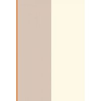 Direct Wallpapers Stripe Textured Wallpaper in Orange