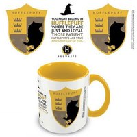 Harry Potter Hufflepuff House Pride Inner Two Tone Mug in Yellow