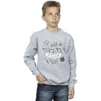 Harry Potter Boy's Wizard In Training Sweatshirt in Grey | Size: 3-4 Years